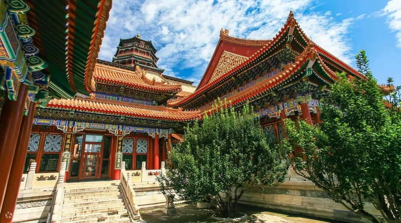 Beijing Private Tour: Summer Palace, Panda House and Options - Package 3: pandas and the Summer Palace by private car