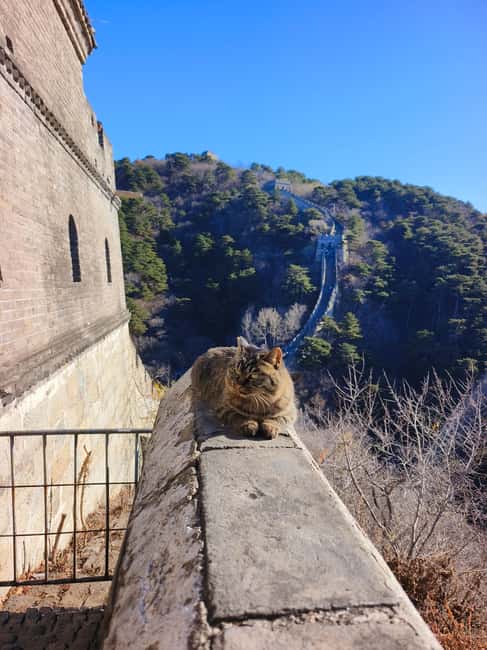 Beijing: Private Tour to Mutianyu Great Wall&Forbidden City - Time, meals, and what the price covers