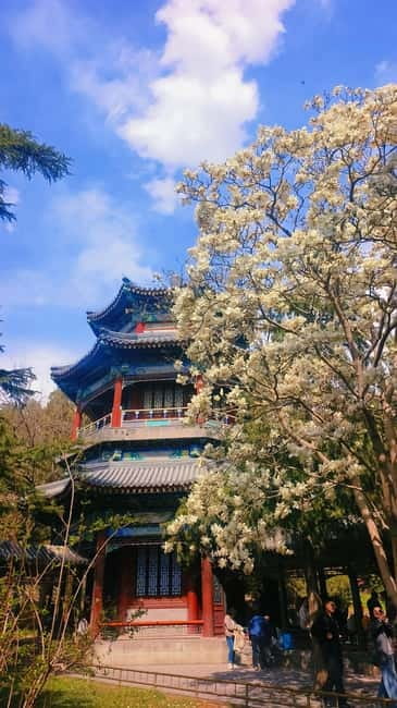 Beijing: Summer Palace Highlight Walking Tour - Hall of Joyful Longevity and imperial life