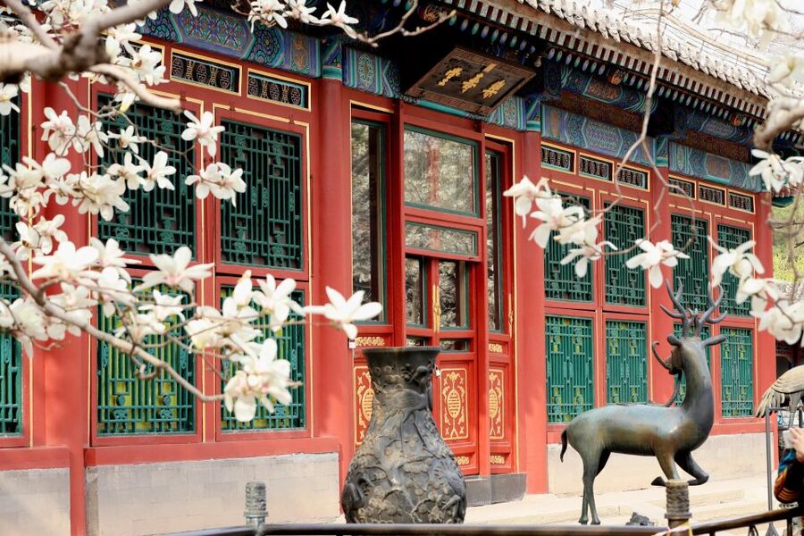 Beijing: Summer Palace, Sacred Road&Ming Tombs Private Tour - Walking the 500-year-old Sacred Way