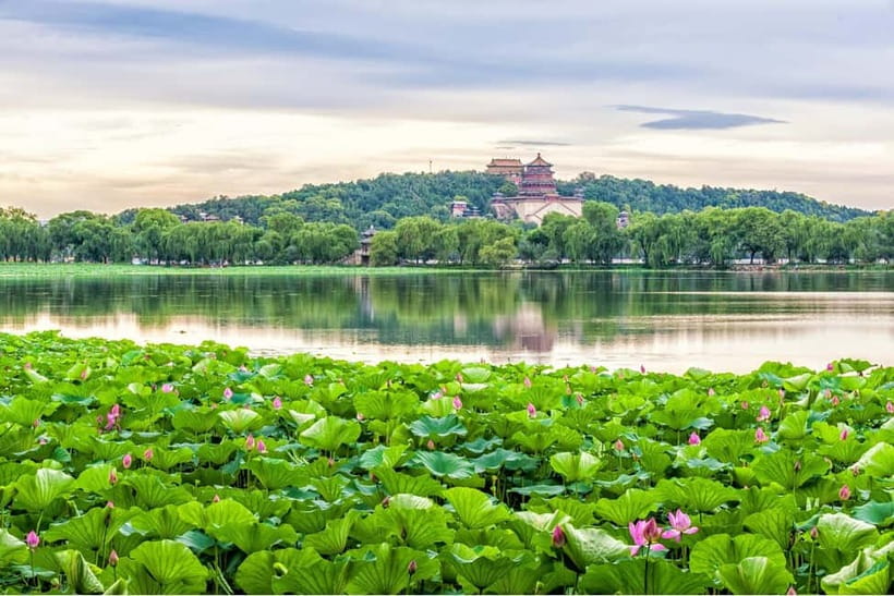 Beijing：Summer Palace & Tea or Calligraphy Experience Tour - What the $162 price includes