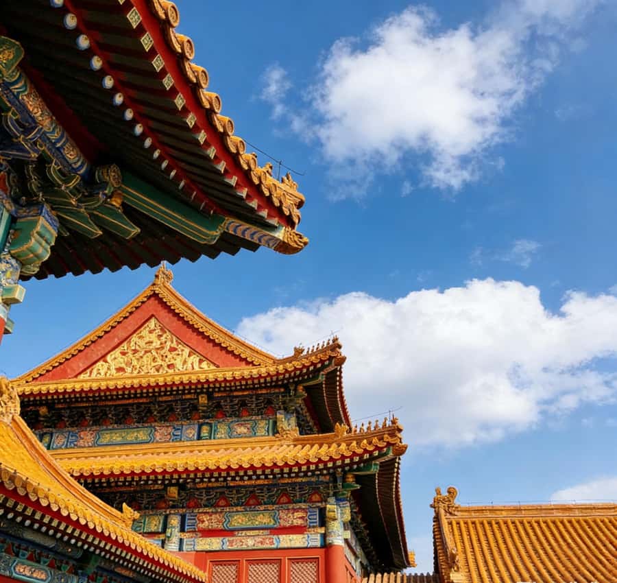 Beijing: Temple of Heaven and Forbidden City Private Tour - Tiananmen Square: a broad pause between two historic sites