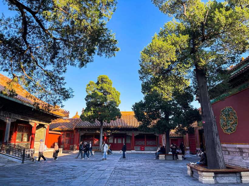 Beijing:Temple of Heaven+Forbidden City Private City Tour - A simple local lunch in Beijing