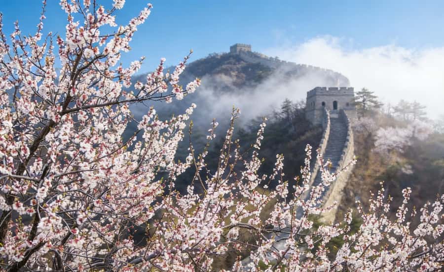 Beijing: Tiananmen, Forbidden City, and Wall Private Tour - Tiananmen Square: Beijing’s vast ceremonial center