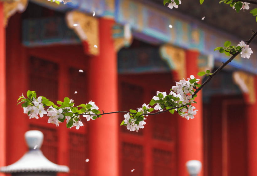 Beijing: Tiananmen Square and Forbidden City Entry Tickets - Temple of Heaven: a smart second imperial stop