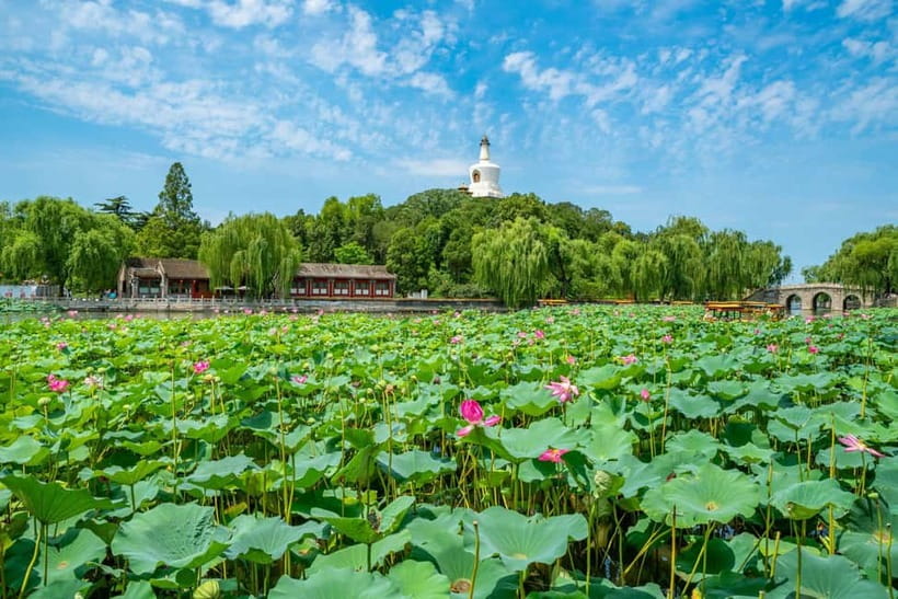 Beijing: Tiananmen Square & Forbidden City Tickets & Tours - A hutong walk with local snacks