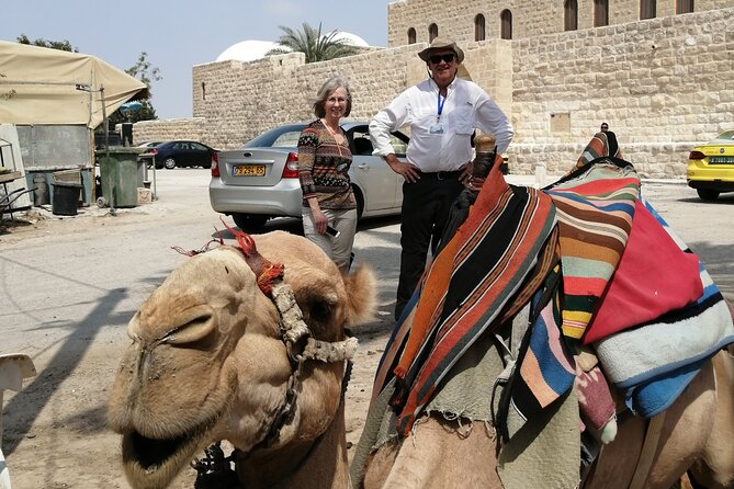Bethlehem, Jericho, Hisham palace and Qumran Full Day Private Tour - The Mount of Temptation above Jericho