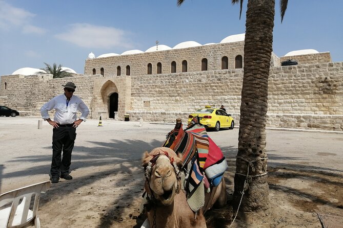 Bethlehem, Jericho, Hisham palace and Qumran Full Day Private Tour - Ancient Jericho and Tel es-Sultan