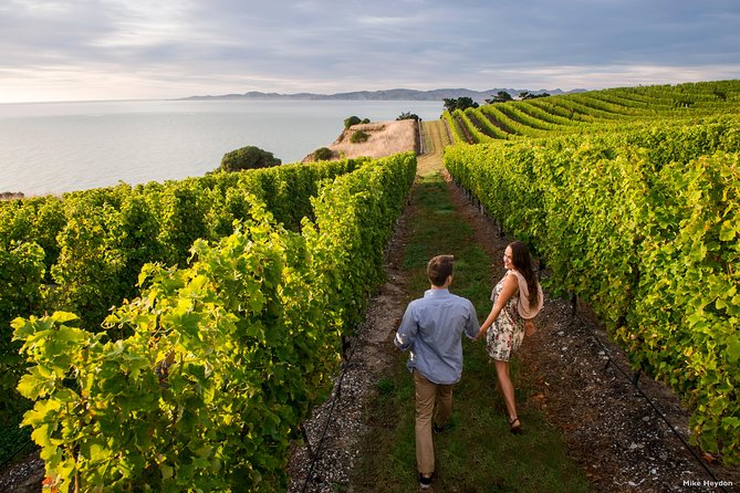 Blenheim Half day Wine Tour - Why this half-day tour works well in Marlborough