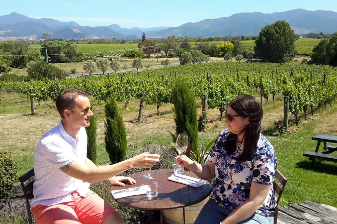 Blenheim Half day Wine Tour - Group size, timing, and practical limits