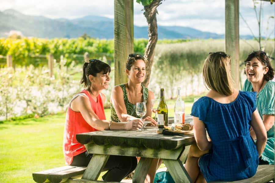 Blenheim/Renwick: Marlborough Half-Day Wine Tour with Lunch - Why this short Marlborough tour works