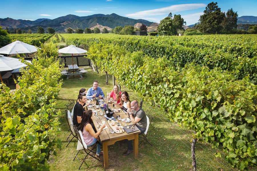 Blenheim/Renwick: Marlborough Half-Day Wine Tour with Lunch - First vineyard: settling into Marlborough wine country