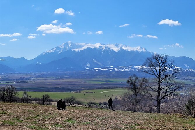 Bran Castle & Bear Sanctuary from Brasov - Optional Peles Castle - Libearty Bear Sanctuary: a serious first stop