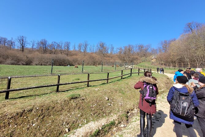 Bran Castle & Bear Sanctuary from Brasov - Optional Peles Castle - The optional Peles Castle choice