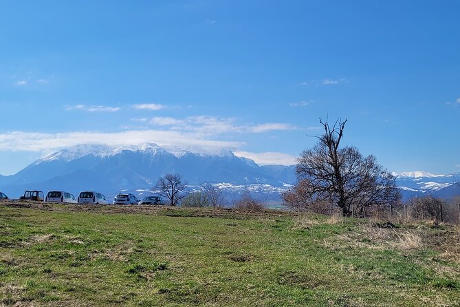 Bran Castle & Bear Sanctuary from Brasov - Optional Peles Castle - Who should book this Brasov excursion?