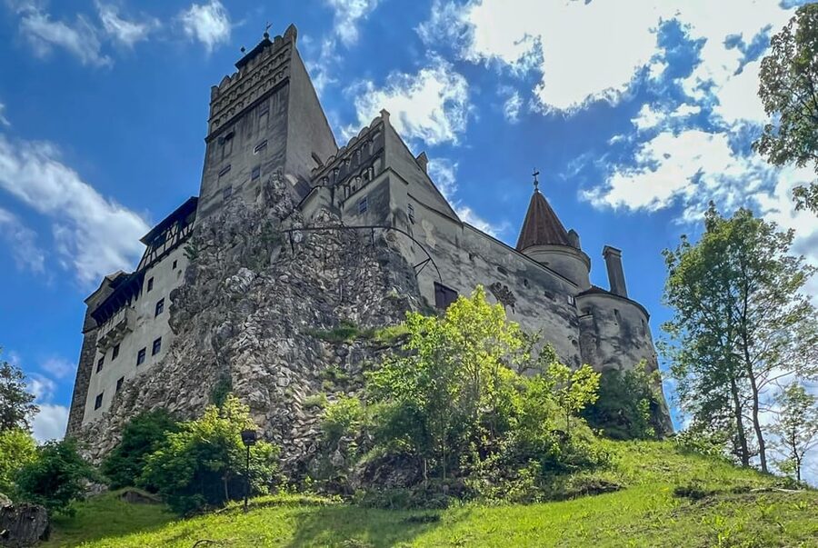 Brasov: Bran Castle, Bear Sanctuary, Rasnov (Peles Optional) - Key details before you book