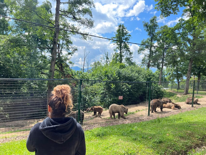 Brasov: Bran Castle, Bear Sanctuary, Rasnov (Peles Optional) - Why this six-and-a-half-hour route works