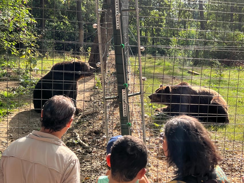 Brasov: Bran Castle, Bear Sanctuary, Rasnov (Peles Optional) - Palinca tasting at a local distillery