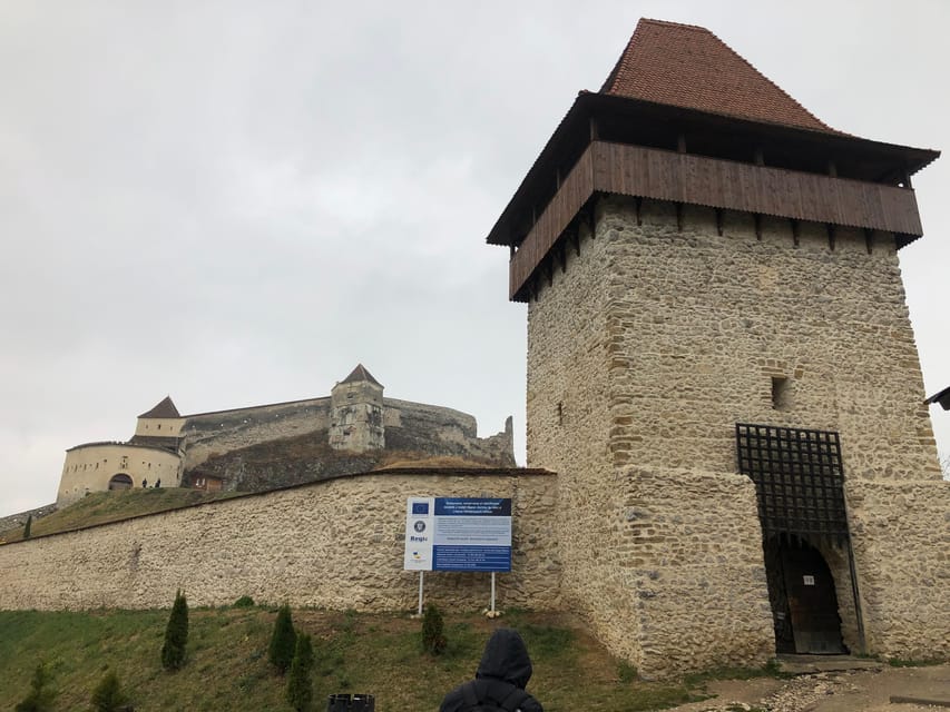 Brasov: Bran Castle, Bear Sanctuary, Rasnov (Peles Optional) - Should you book the Bran, bear, and Rasnov tour?