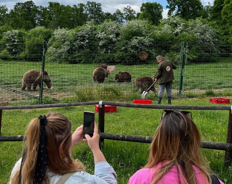 Brasov: Bran Castle, Bear Sanctuary, Rasnov (Peles Optional) - Libearty Bear Sanctuary: the day’s strongest stop