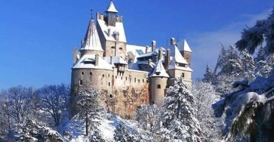Brasov: Bran, Peles and Cantacuzino Castles Day Tour - Should you book the Bran, Peleș, and Cantacuzino tour?