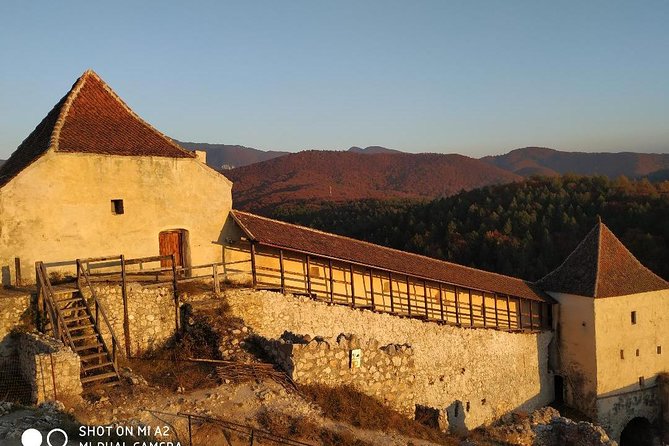 Brasov: Peles Castle, Bran Castles and Rasnov Fortress Day Tour - The group size, walking, and practical pace
