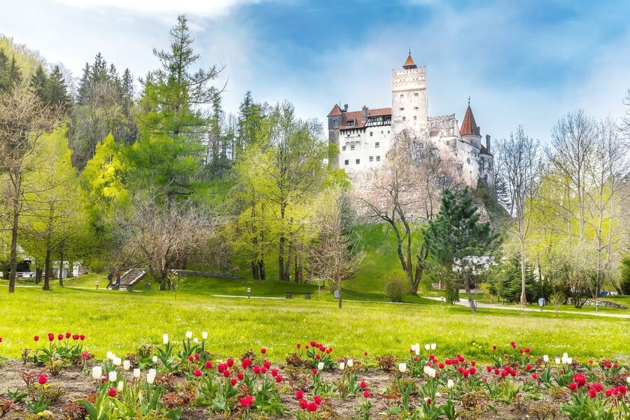 Bucharest: Day Trip to Dracula Castle, Peles Castle & Brașov - What the $45 price includes, and what it does not