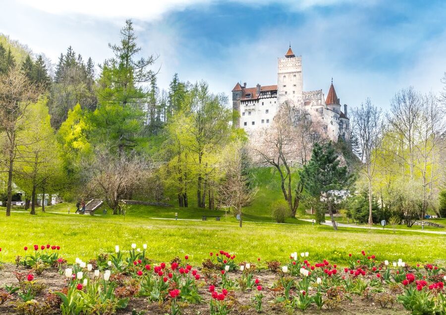 Bucharest: Dracula Castle, Peles Castle & Brasov Guided Tour - Peleș Castle, Romania’s royal showpiece
