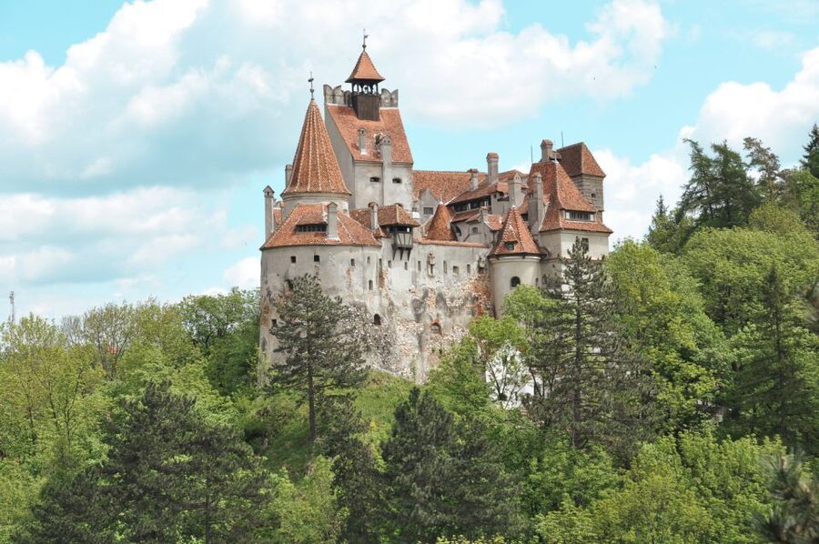 Bucharest: Dracula's Castle, Peles Castle, & Brasov Old Town - Guides, drivers, and the human side of the day