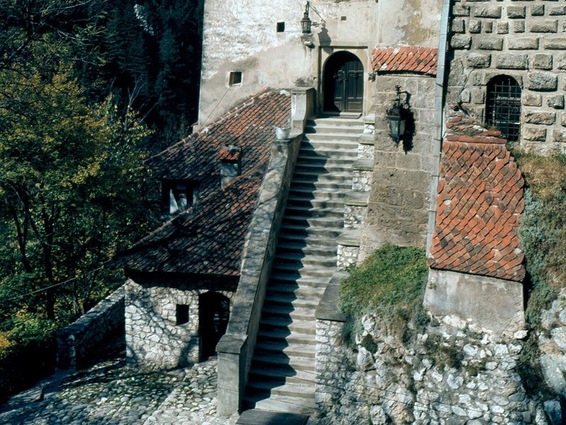 Bucharest: Peles Castle, Dracula's Castle and Brasov Tour - What the private vehicle adds to a 12-hour day