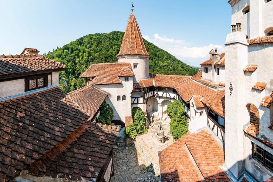 Bucharest: Peles & Dracula's Castle and Brasov Full-Day Trip - What the $31 price really covers