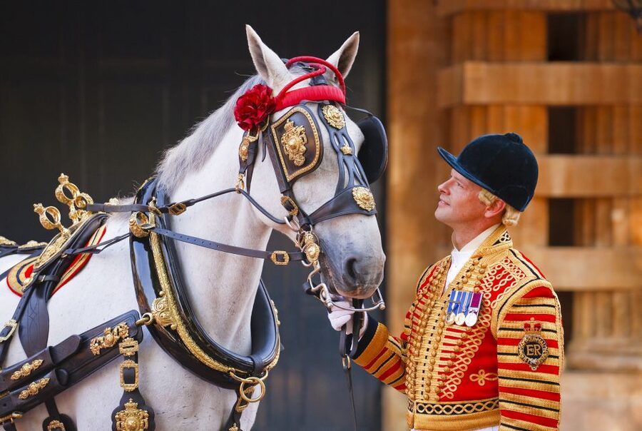 Buckingham Palace: The Royal Mews Entrance Ticket - Key things to know before you go