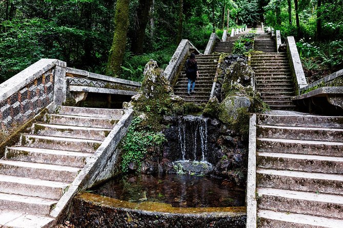 Bussaco Palace, Gardens & Forest | Private Tour - Two hours around Bussaco Palace and gardens