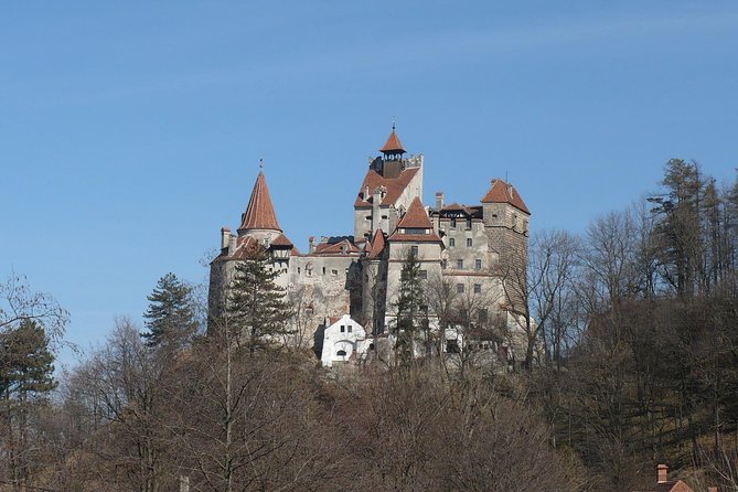 Castles Private Tour Peles - Bran - Rasnov from Brasov - Price, inclusions, and what you still pay