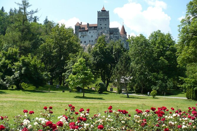 Castles Private Tour Peles - Bran - Rasnov from Brasov - Who should book this Brasov castle tour?