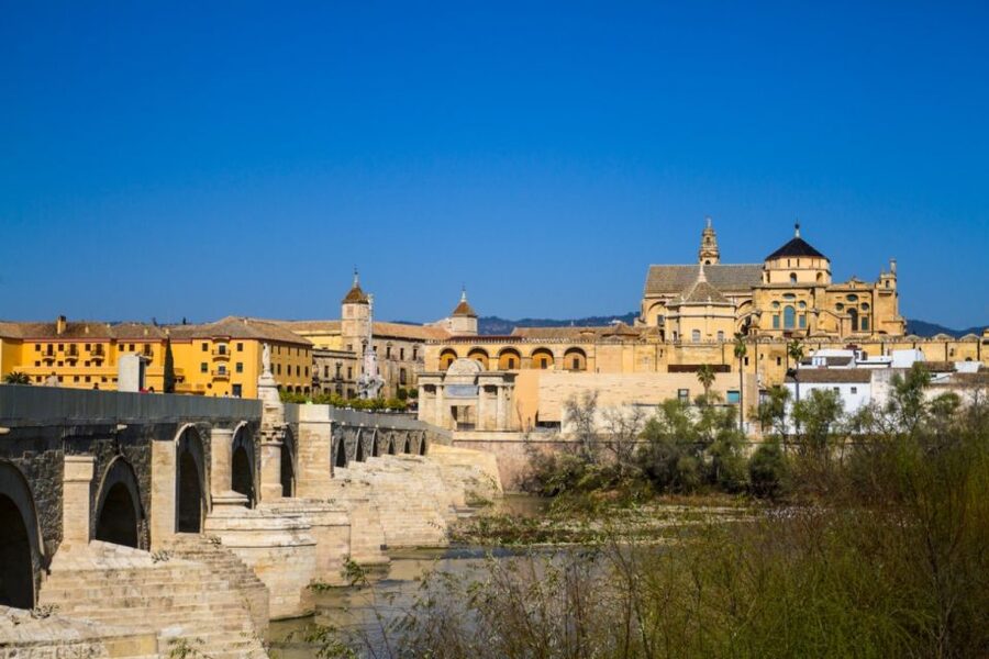 Córdoba: Alcázar and Jewish Quarter 2-Hour Guided Tour - What kind of guide should you expect?