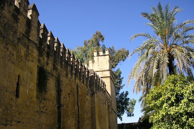 Córdoba: Alcazar Skip the Line Guided Tour - Meeting at Avenida del Alcázar