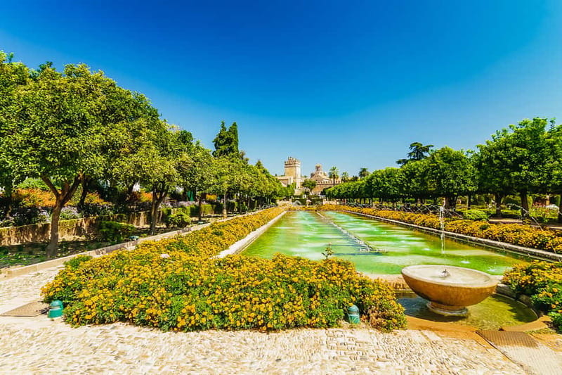 Córdoba: Jewish Quarter, Mosque, and Alcázar Tour - Practical details that can save you trouble