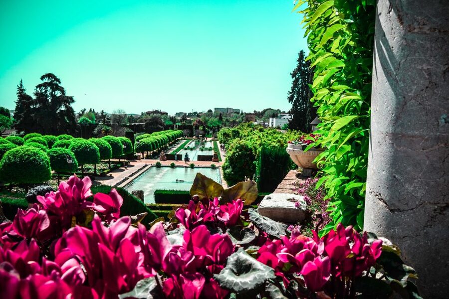 Córdoba: Mosque-Cathedral and Alcazar Tour - Small details that can make the visit easier