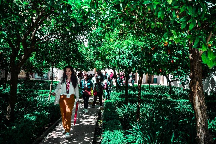 Córdoba: Mosque-Cathedral and Alcazar Tour - Who should book this Córdoba tour?