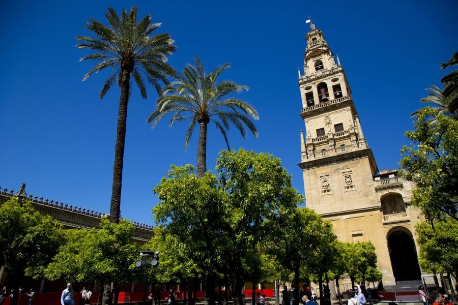 Córdoba: Mosque-Cathedral, Jewish Quarter and Alcázar Tour - Who should book this tour