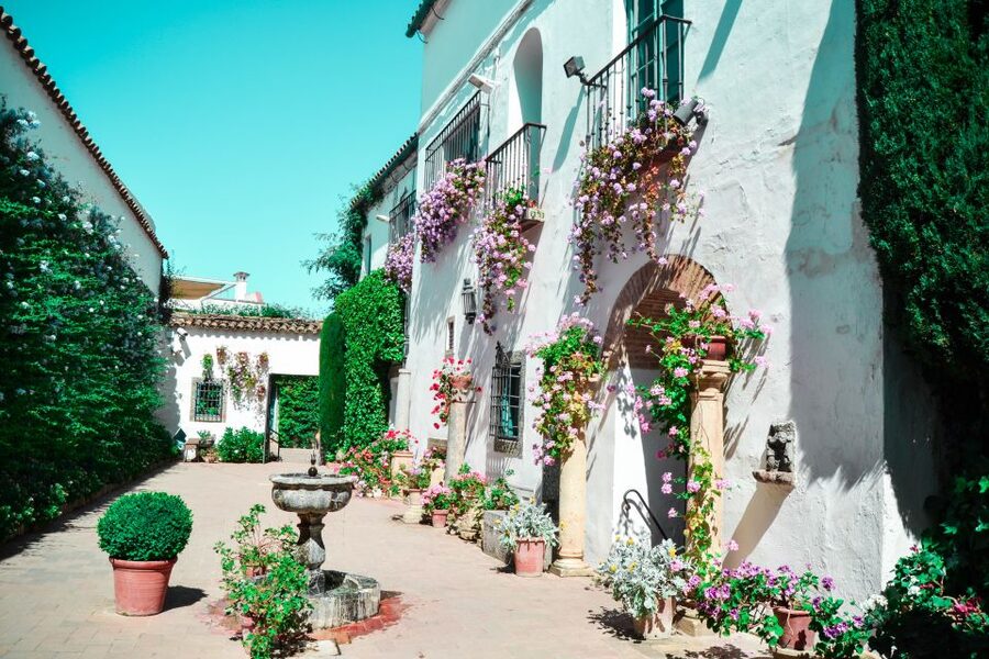 Cordoba: Patios and Viana Palace Tour - Why Viana Palace deserves a place in your Cordoba plans