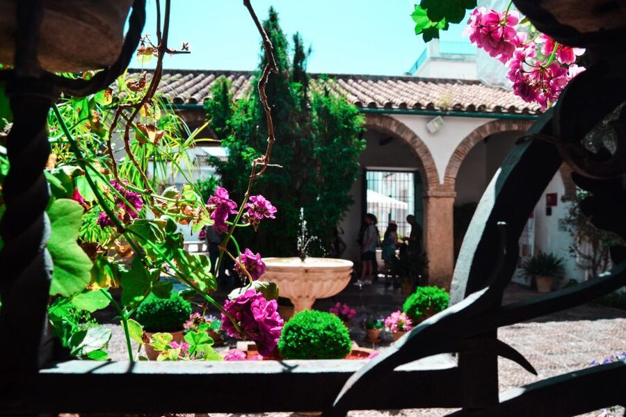 Cordoba: Patios and Viana Palace Tour - Twelve courtyards across several centuries