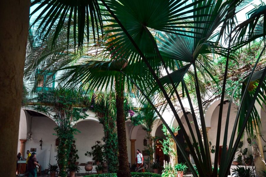 Cordoba: Patios and Viana Palace Tour - What the Spanish guide adds