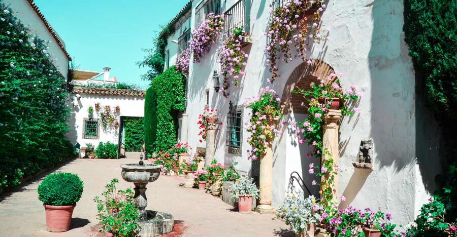Cordoba: Patios and Viana Palace Tour - The first patios: water, flowers, and shade