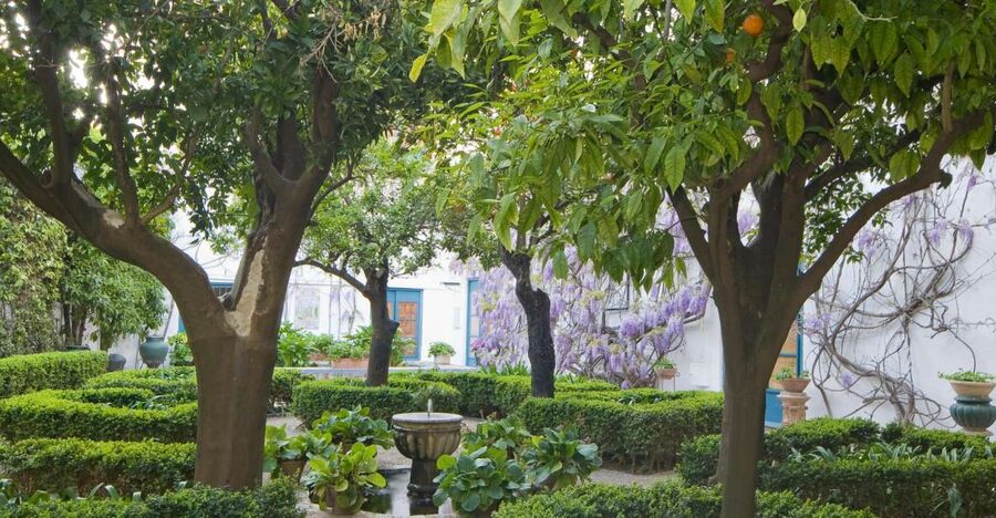 Córdoba: Viana Palace Gardens and Patios Entry Ticket - Key points at a glance