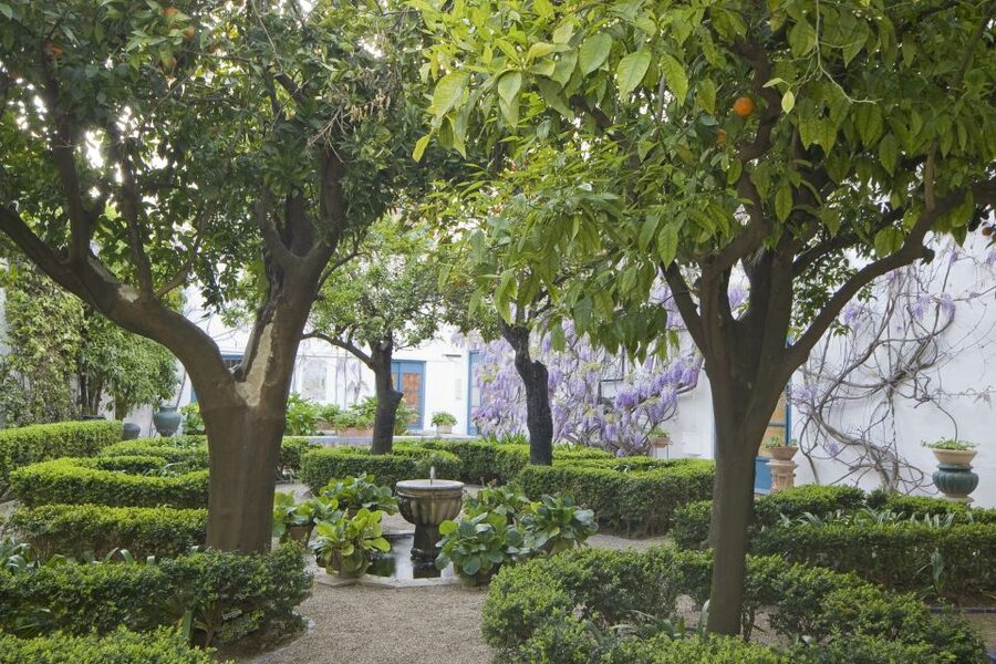 Córdoba: Viana Palace Gardens and Patios Entry Ticket - Twelve patios, twelve different moods