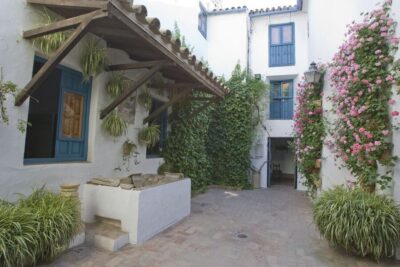 Viana Palace Gardens and Patios Entry Ticket