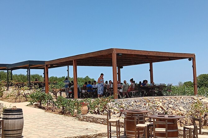 Crete Discovery Palace of Knossos, Wine and Olive Oil Experience - The advantage of a private guide and driver