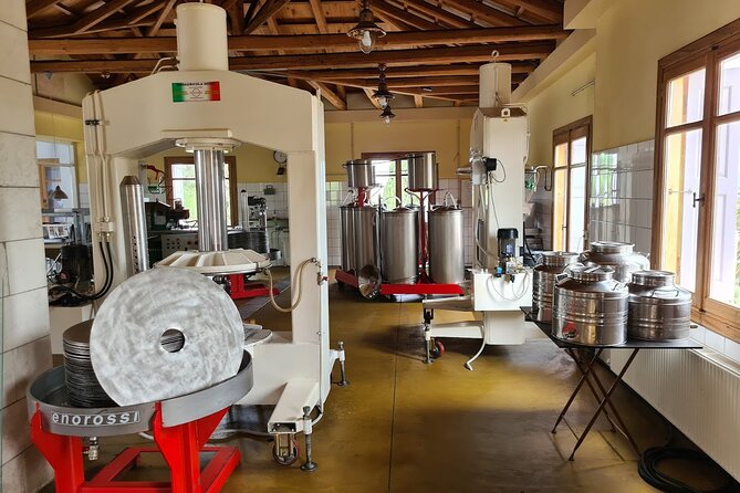 Crete Discovery Palace of Knossos, Wine and Olive Oil Experience - What the $577.97 price really covers